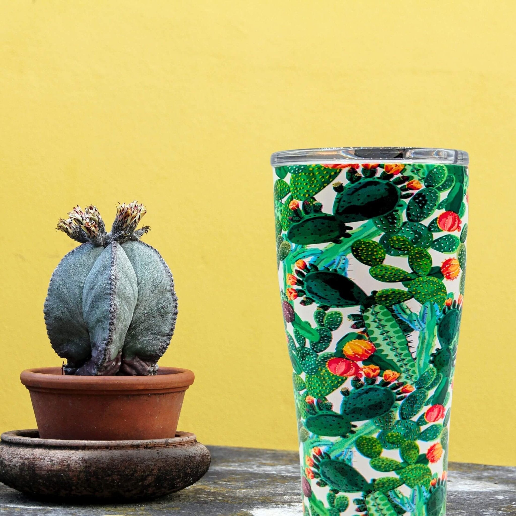 Prickly Pear 20 oz. Tumbler - SIC Lifestyle